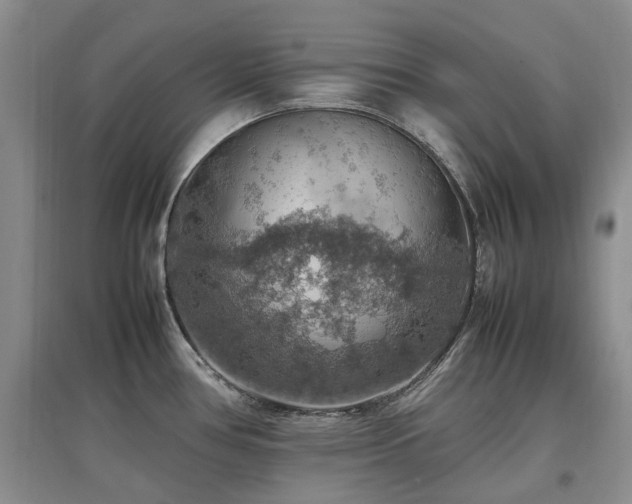 X0000097881386200803141310