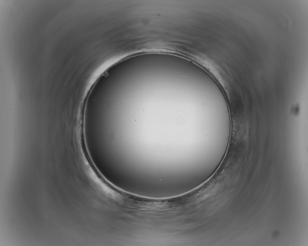 X0000097881387200803141310