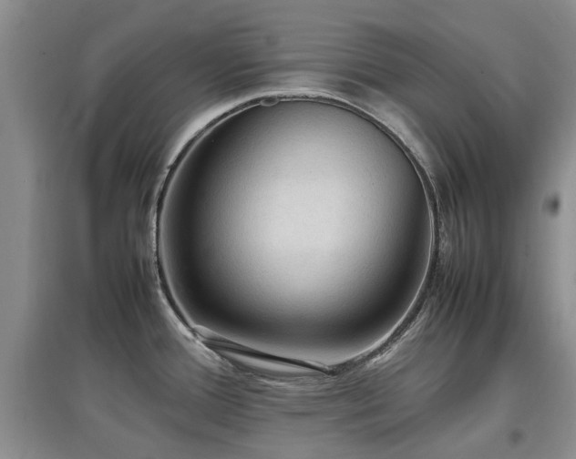 X0000097881388200803141310
