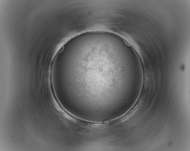 X0000097881390200803141310