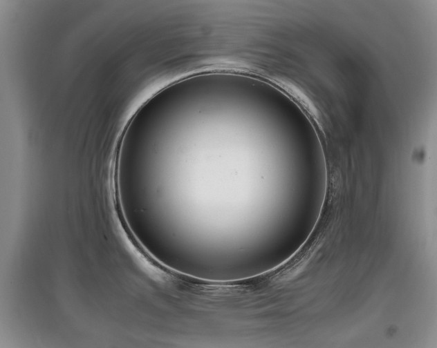 X0000097881391200803141310