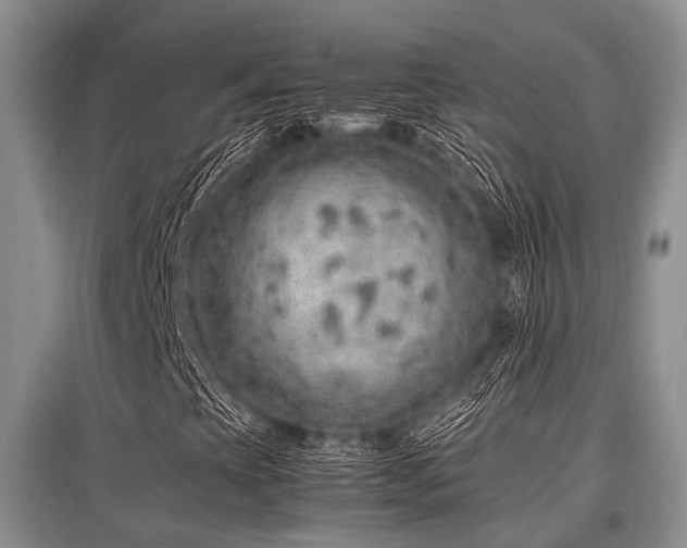 X0000097881393200803141310