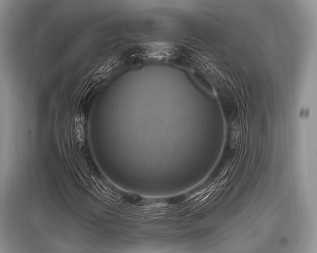 X0000097881394200803141310