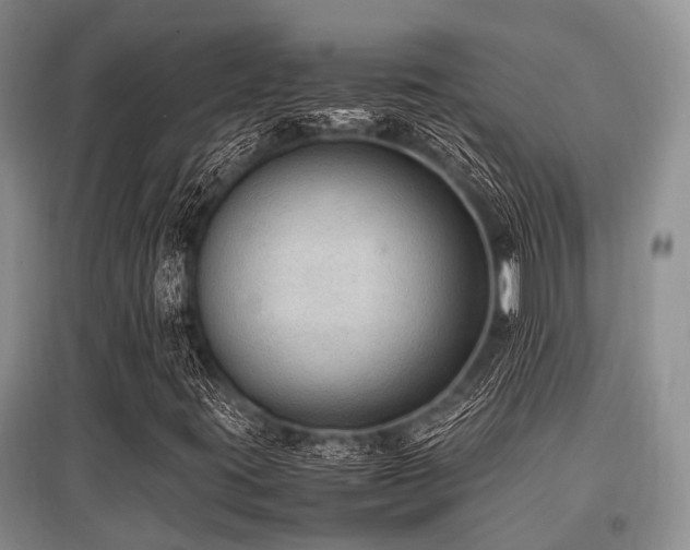 X0000097881395200803141310