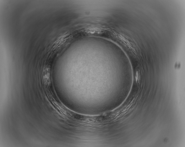 X0000097881396200803141310