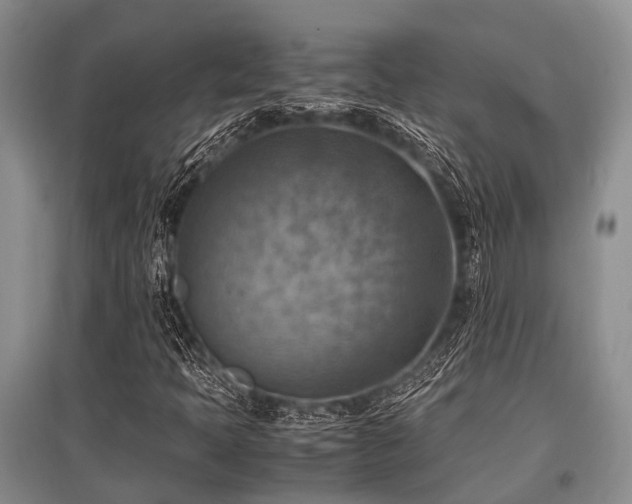 X0000097881397200803141310