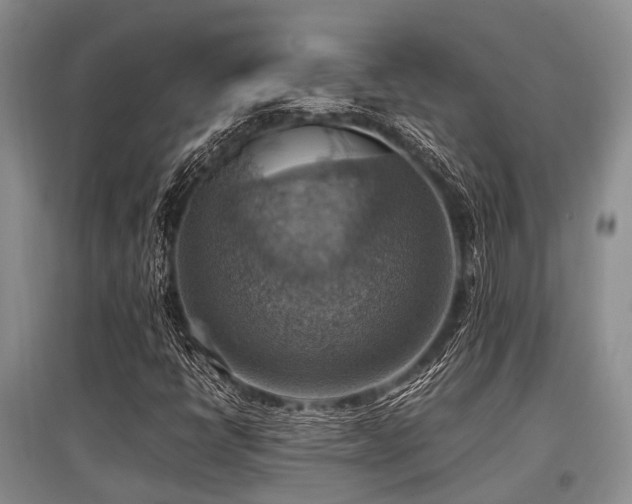 X0000097881398200803141310