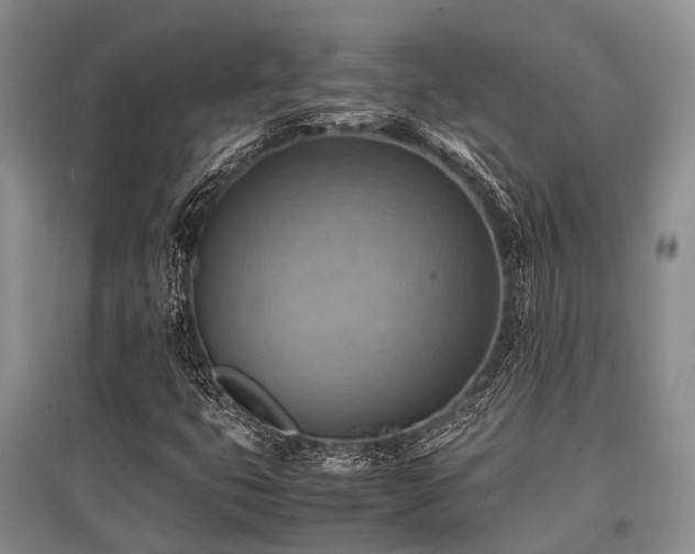 X0000097881399200803141310