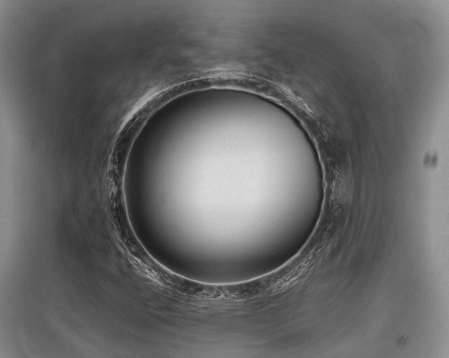 X0000097881400200803141310