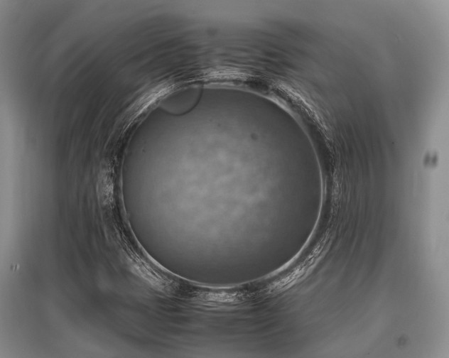 X0000097881401200803141310