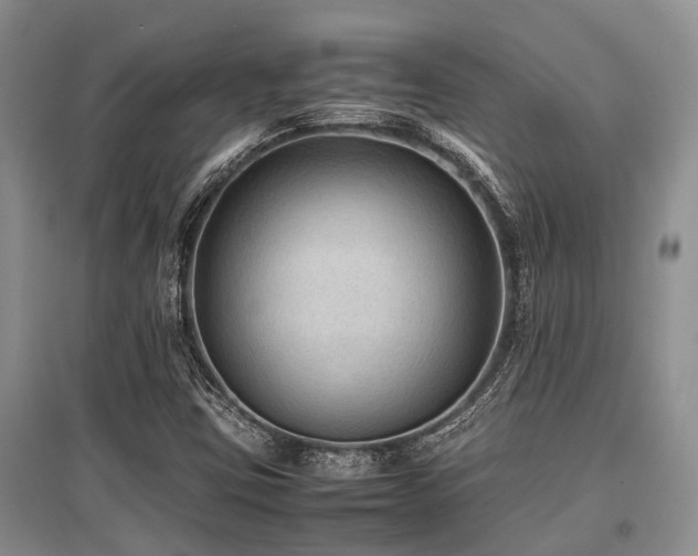 X0000097881403200803141310