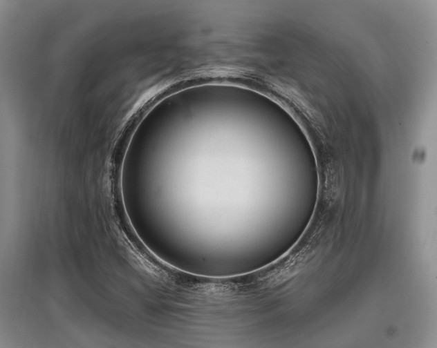 X0000097881404200803141310