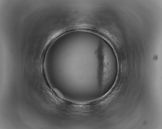 X0000097881405200803141310