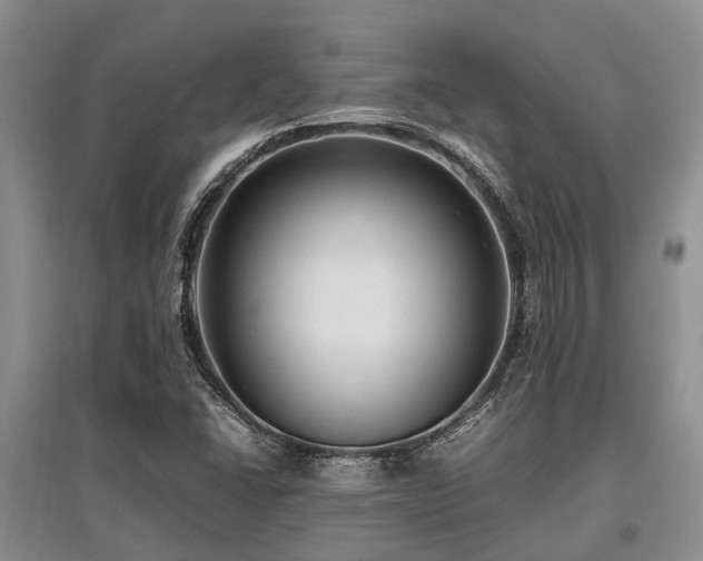 X0000097881406200803141310