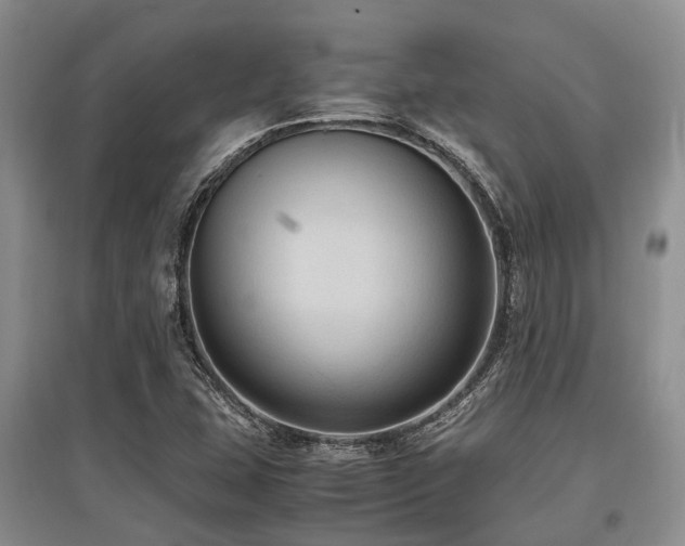 X0000097881407200803141310