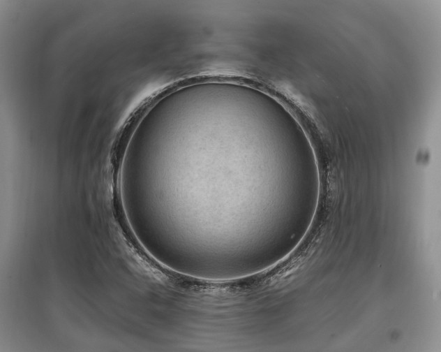 X0000097881408200803141310