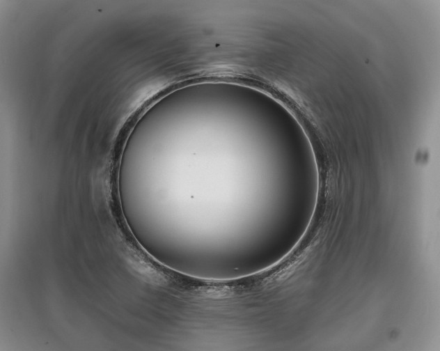 X0000097881410200803141310