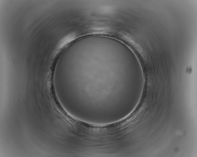 X0000097881411200803141310