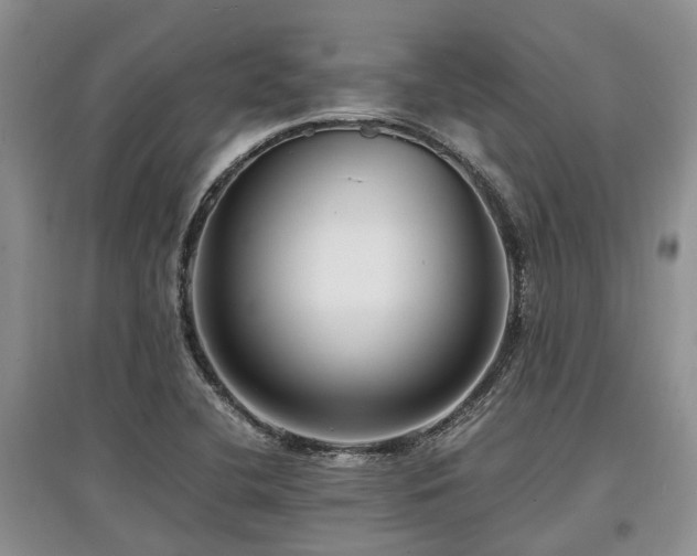 X0000097881412200803141310