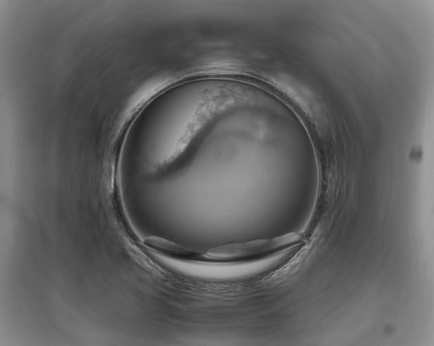X0000097881413200803141310
