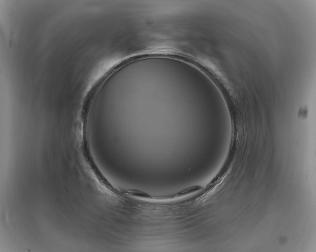 X0000097881414200803141310