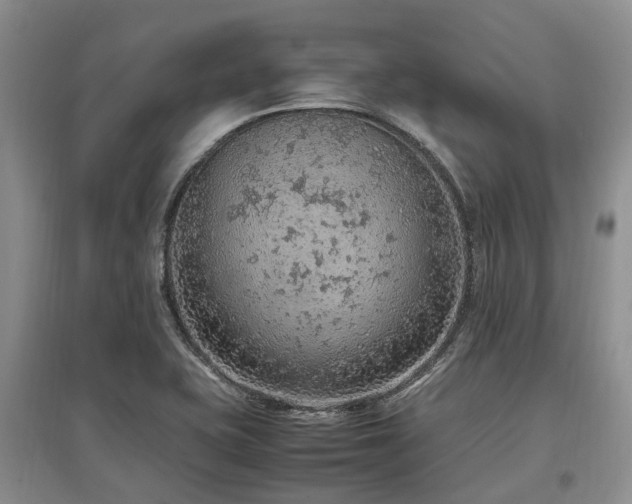 X0000097881415200803141310