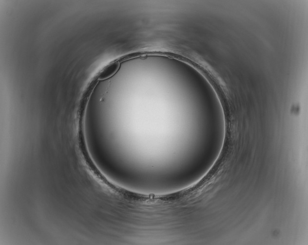 X0000097881416200803141310