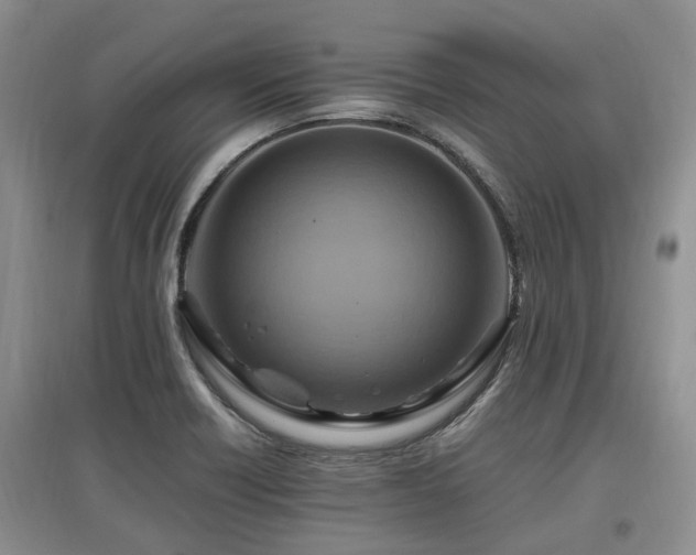 X0000097881418200803141310