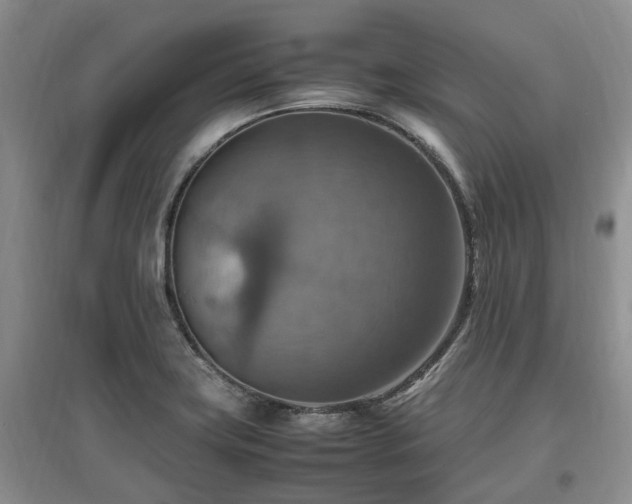 X0000097881419200803141310