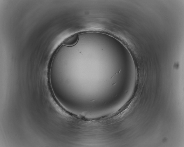 X0000097881422200803141310