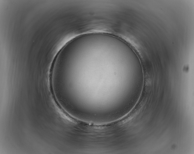 X0000097881423200803141310