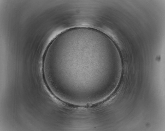 X0000097881424200803141310