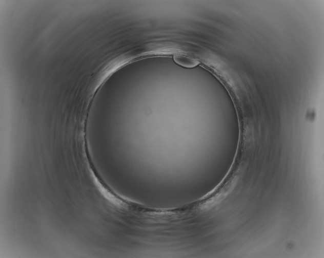 X0000097881425200803141310