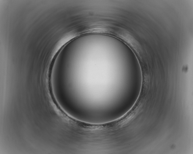 X0000097881426200803141310