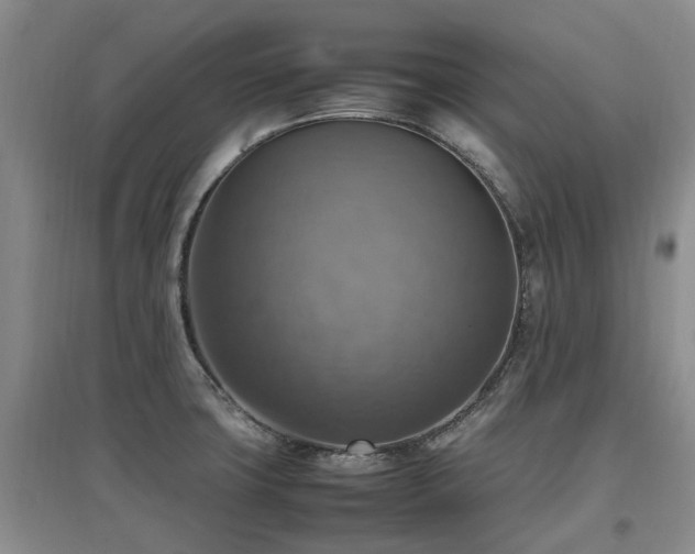 X0000097881427200803141310