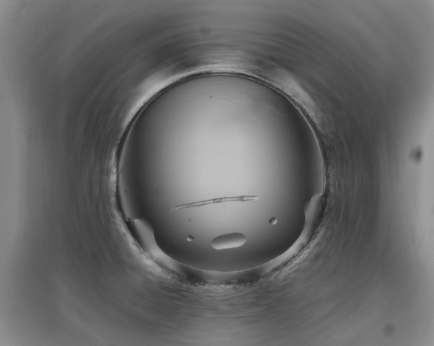 X0000097881428200803141310
