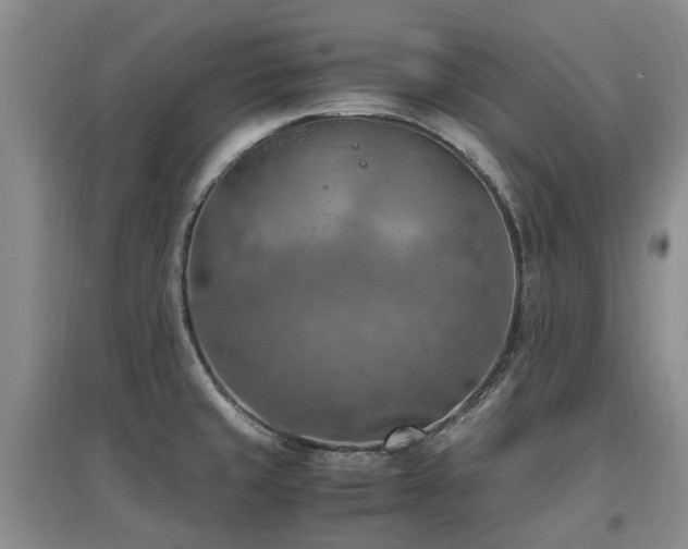 X0000097881429200803141310