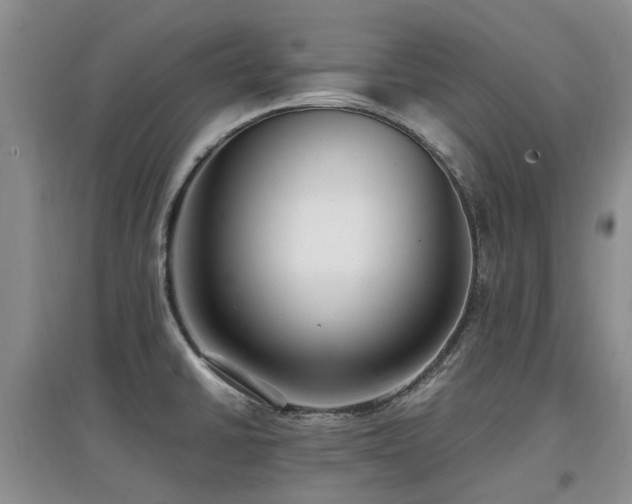 X0000097881430200803141310