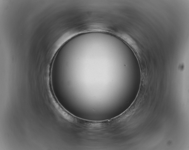 X0000097881431200803141310