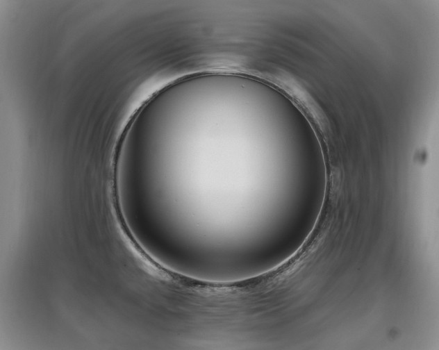 X0000097881432200803141310