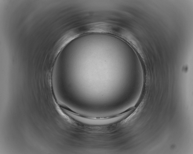 X0000097881433200803141310