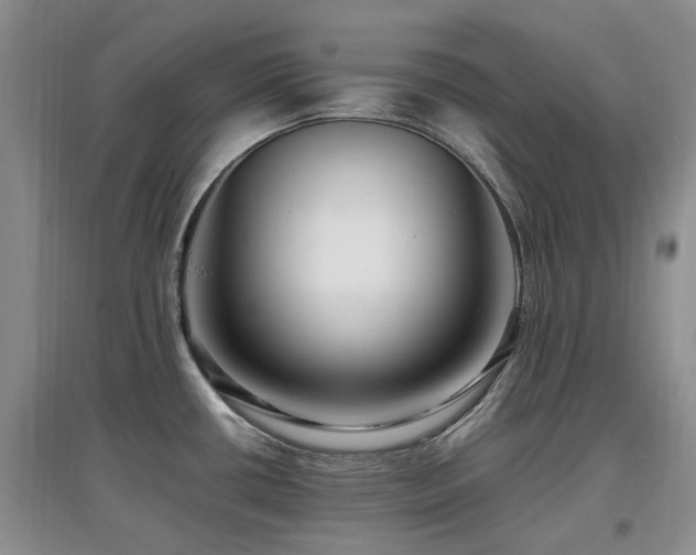 X0000097881434200803141310