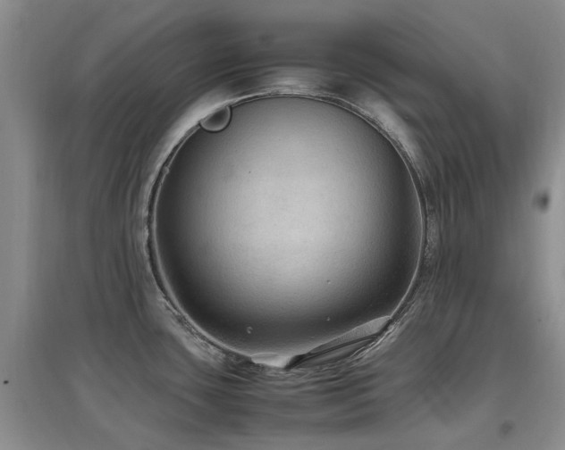 X0000097881435200803141310