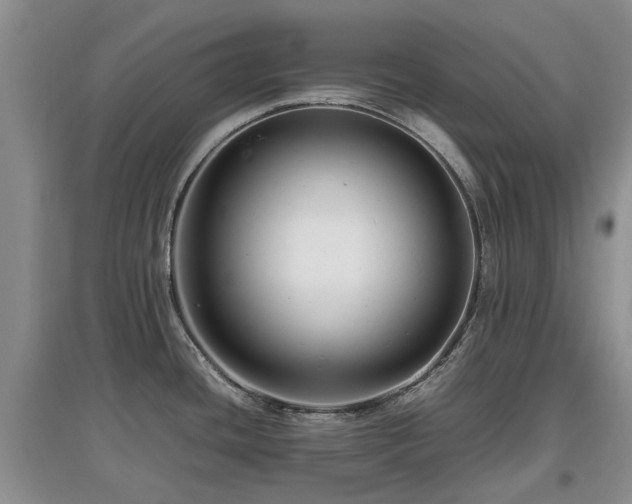 X0000097881436200803141310