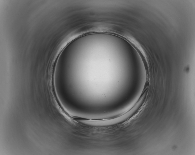 X0000097881437200803141310