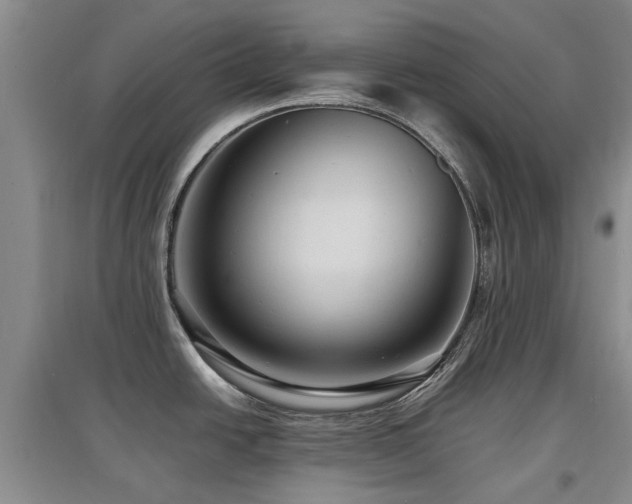 X0000097881438200803141310