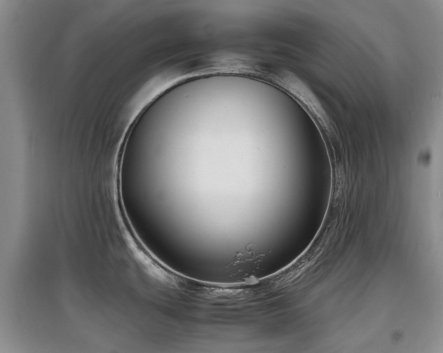 X0000097881439200803141310