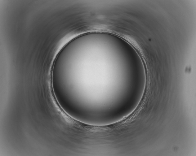 X0000097881440200803141310