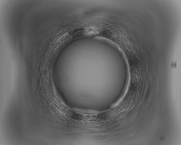X0000097881441200803141310