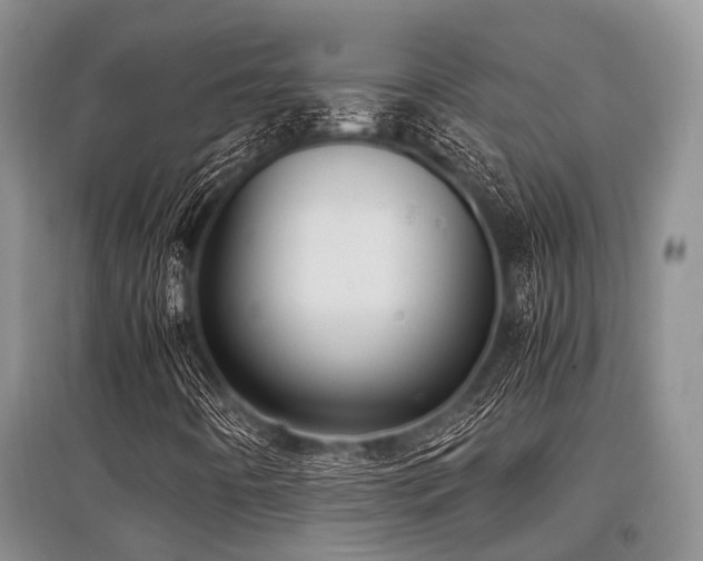X0000097881442200803141310